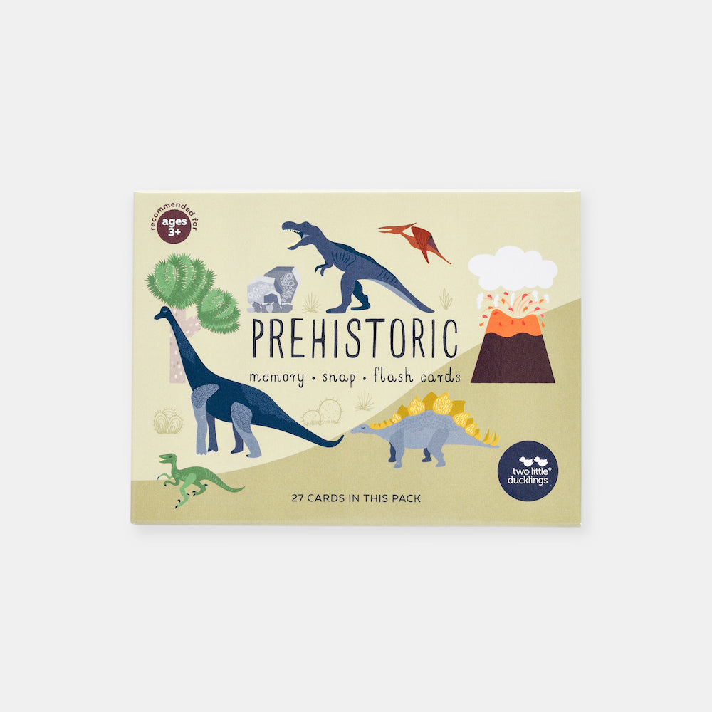 Two Little Ducklings Prehistoric Snap and Memory Game Flash Cards