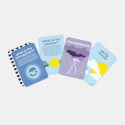 Two Little Ducklings Weather Flash Cards